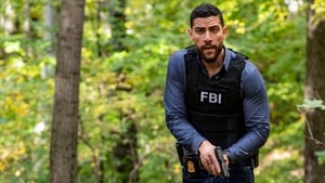 FBI Season 1 :Episode 8  This Land Is Your Land