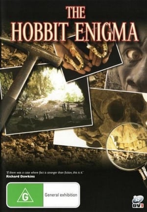 Poster The Hobbit Enigma 2008