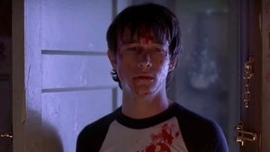 Mysterious Skin (2004)