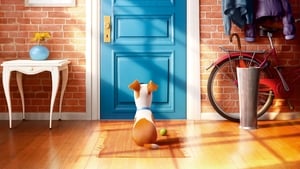 مشاهدة فيلم The Secret Life of Pets 2016 مترجم مباشر اونلاين