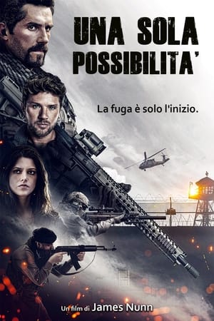 Poster Una sola possibilità 2021