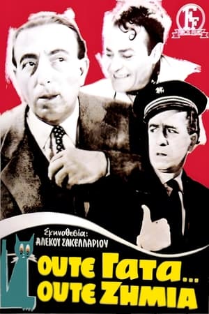 Ούτε γάτα, ούτε ζημιά 1955