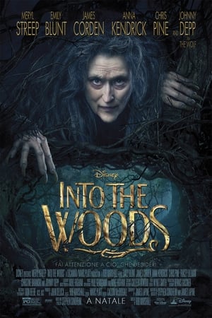 Image Into the Woods