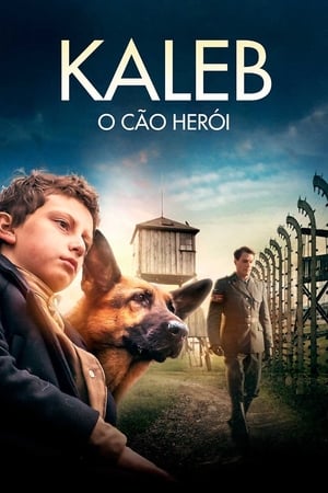 Image Shepherd: The Hero Dog