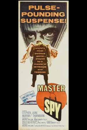 Télécharger Master Spy ou regarder en streaming Torrent magnet 