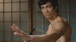 مشاهدة فيلم Fist of Fury 1972 مترجم