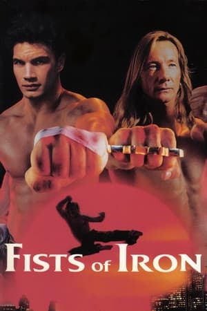 Poster Fists of Iron 1995