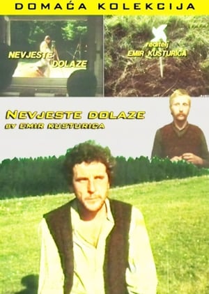 Image Nevjeste dolaze