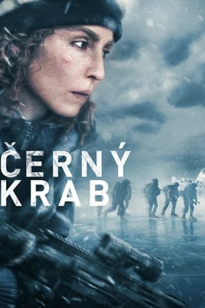 Poster Černý krab 2022