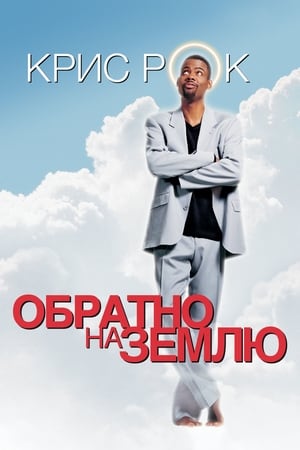 Poster Обратно на Землю 2001