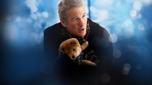 Hachi: A Dog’s Tale (2009)
