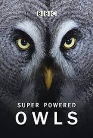 Super Powered Owls 2015