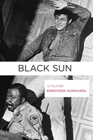 Image Black Sun