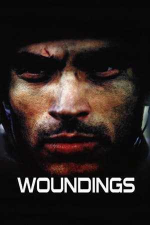 Image Woundings - La guerra nei corpi