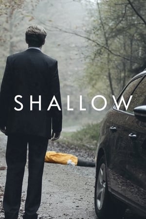 Poster Shallow 2012