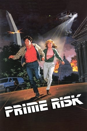 Image Prime Risk