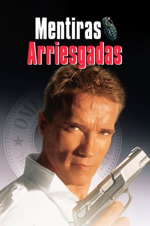 Poster Mentiras arriesgadas 1994