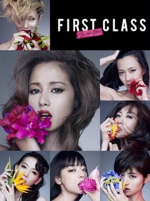 Poster First Class 2 2014