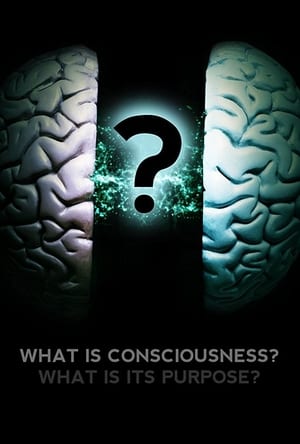 Image What Is Consciousness? What Is Its Purpose?