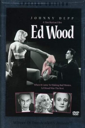 Poster Ed Wood: Pie Plates Over Hollywood 2004