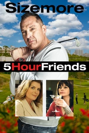 Poster 5 Hour Friends 2014