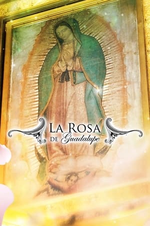 Image La rosa de Guadalupe