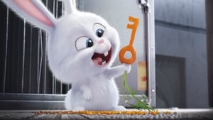 مشاهدة فيلم The Secret Life of Pets 2016 مترجم مباشر اونلاين