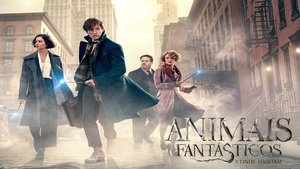 Images posters