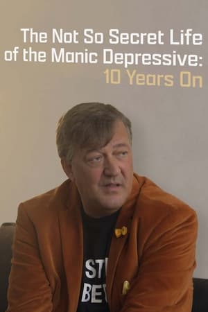 Poster The Not So Secret Life of the Manic Depressive: 10 Years On 2016
