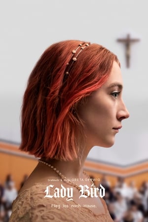 Poster Lady Bird 2017