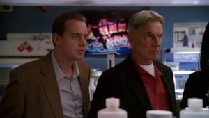 NCIS Season 6 :Episode 10  Road Kill