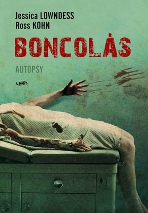 Poster Boncolás 2008
