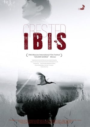 Télécharger Crested Ibis ou regarder en streaming Torrent magnet 