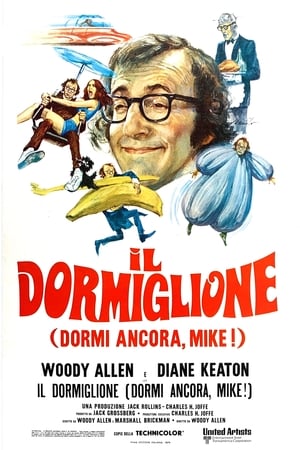 Poster Il dormiglione 1973