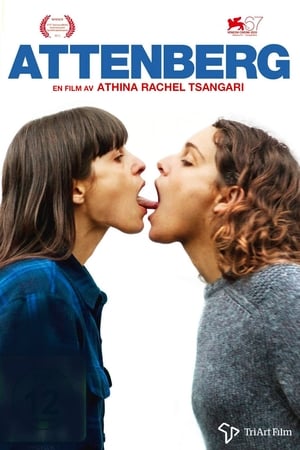 Image Attenberg