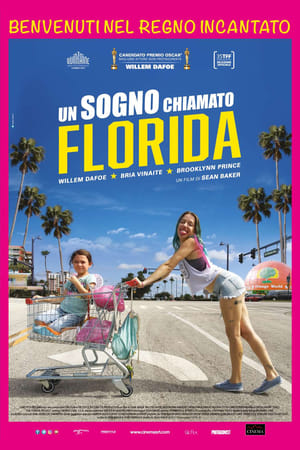 Poster Un sogno chiamato Florida 2017