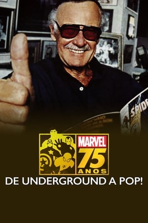 Poster Marvel: 75 Years, from Pulp to Pop! 2014