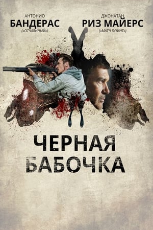 Poster Черная бабочка 2017