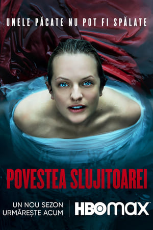 Image Povestea slujitoarei