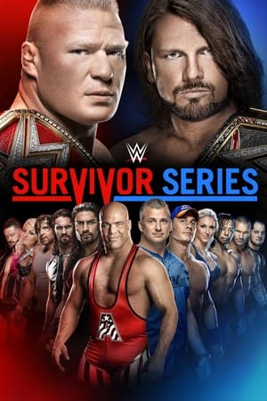 Poster WWE Survivor Series 2017 2017