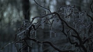 The Ice Storm (1997)