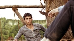 Images posters