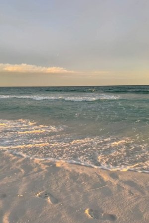 Erie Beach : The Next Chapter (2025)