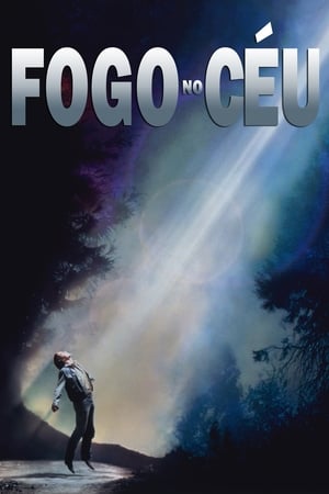 Fogo no Céu 1993