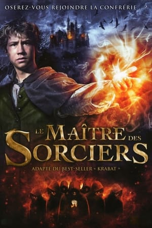 Télécharger Le Maître des Sorciers ou regarder en streaming Torrent magnet 