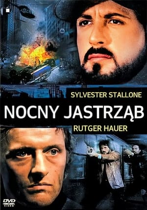 Image Nocny jastrząb