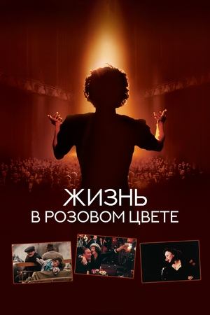 <Images posters