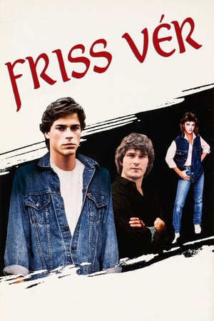 Image Friss vér