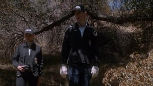 NCIS Season 13 :Episode 6  Viral