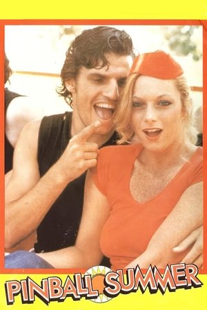 Pinball Summer (1980)